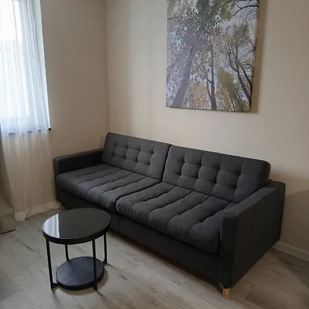 Harmonija & Novi Sad